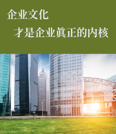 上海罡以信息咨询有限公司企业咨询服务流程与周期详解